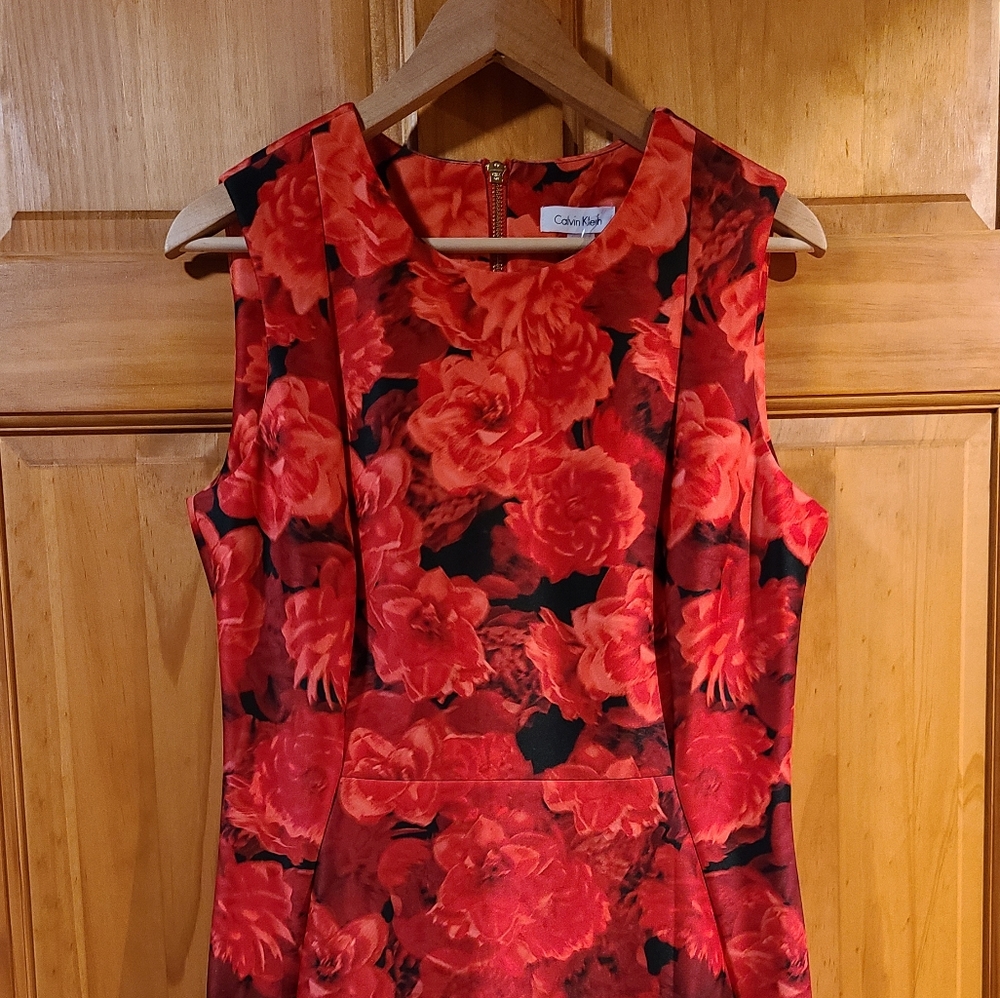Calvin Klein black/red rose dress - Sz 12 NWT